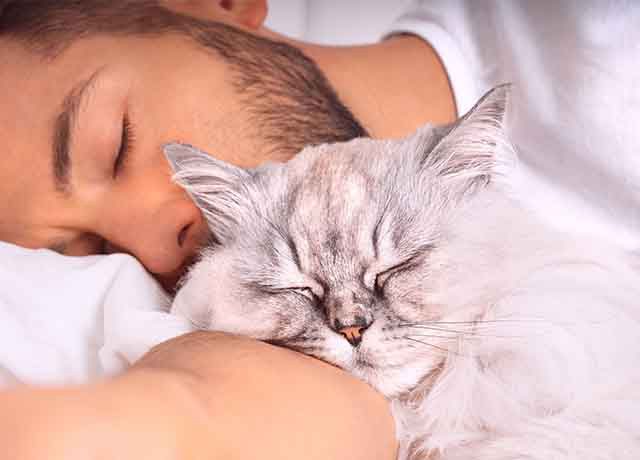 Should I Let My Pet Sleep With Me？